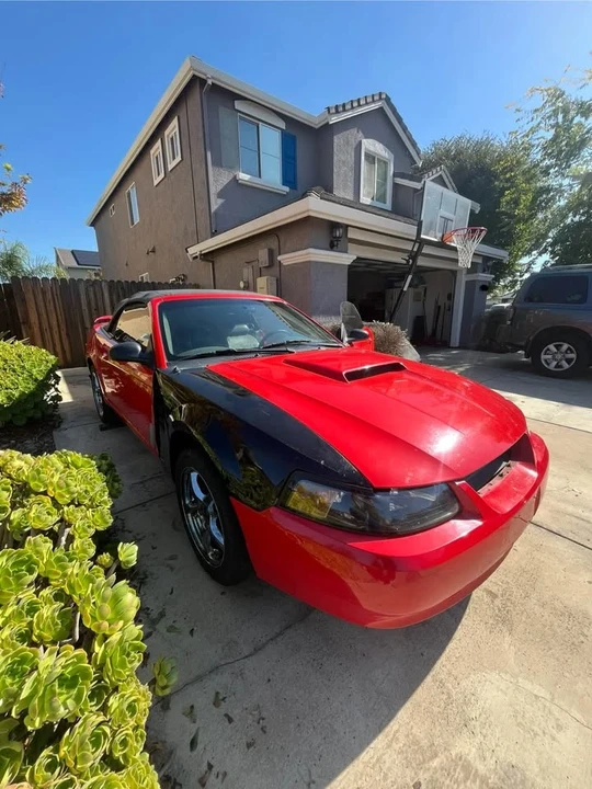 2001 Ford SN95 Mustang - Image 3 of 11