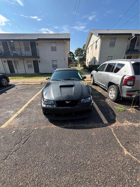 2001 Ford SN95 Mustang - Image 2 of 6