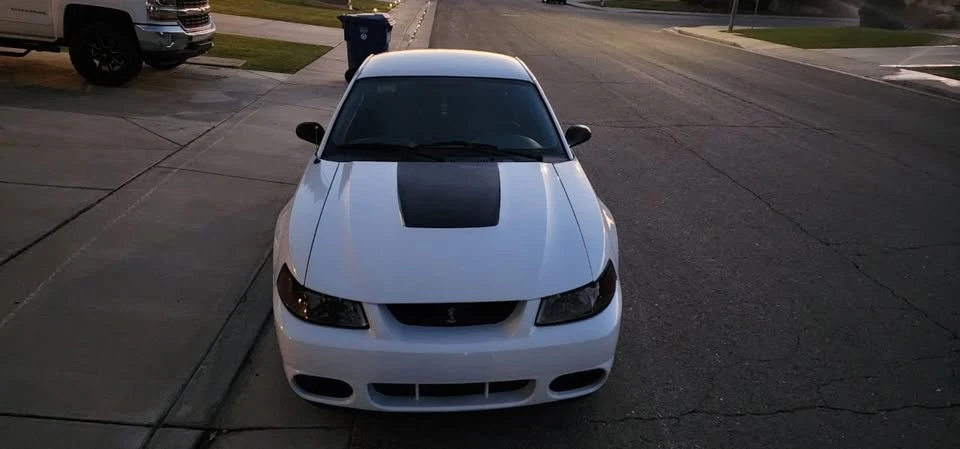 2001 Ford SN95 Mustang Cobra - Image 12 of 17