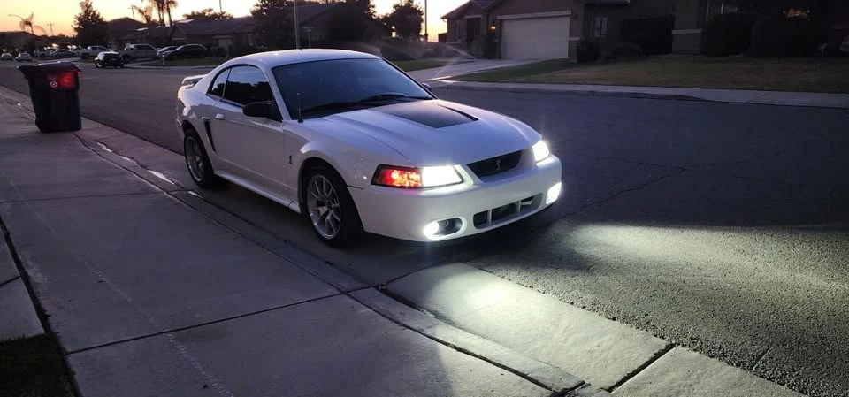 2001 Ford SN95 Mustang Cobra - Image 3 of 17