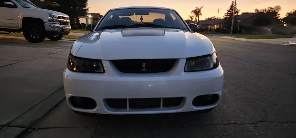 2001 Ford SN95 Mustang Cobra - Image 13 of 17