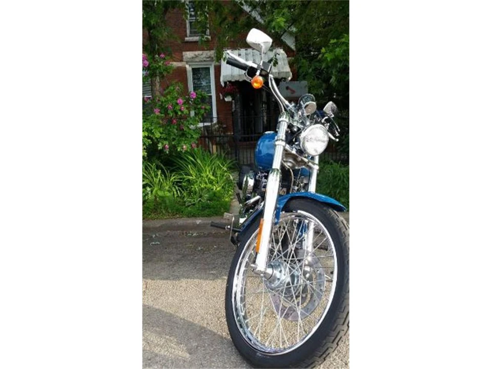2001 Harley-Davidson Softail - Image 6 of 9