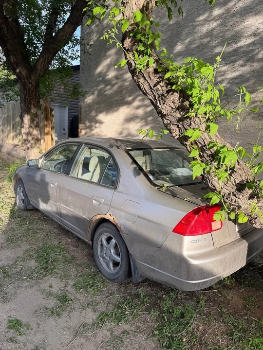 2001 Honda Civic 7th Gen - Image 4 of 6