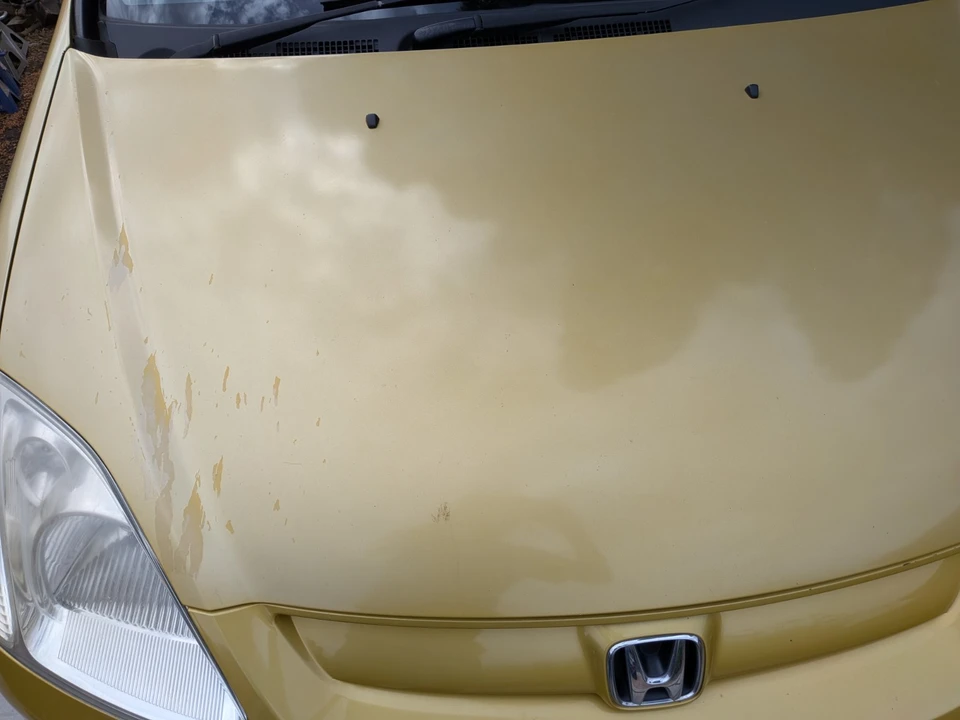 2001 Honda Civic 7th Gen - Image 6 of 16