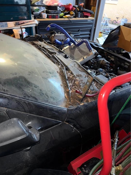 2001 Honda Prelude 5th Gen - Image 14 of 15