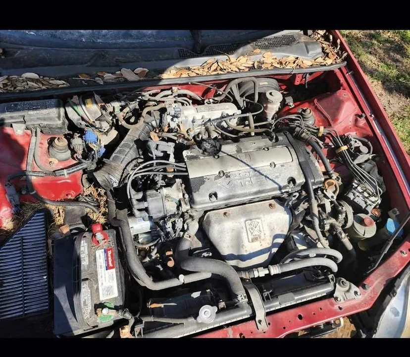 2001 Honda Prelude 5th Gen - Image 6 of 6