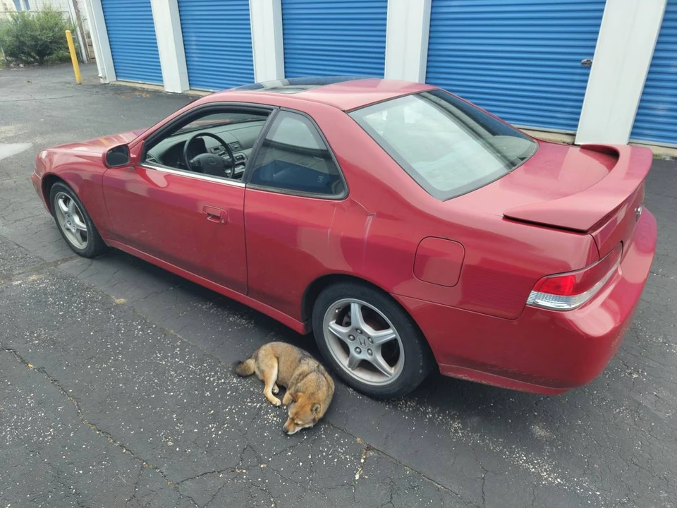 2001 Honda Prelude 5th Gen - Image 15 of 15