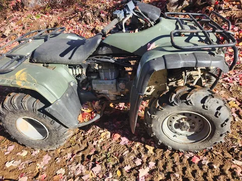 2001 Honda TRX350 2WD