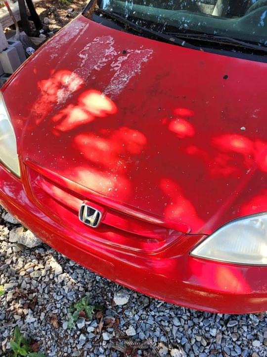 2001 Honda Civic 7th Gen - Image 5 of 9