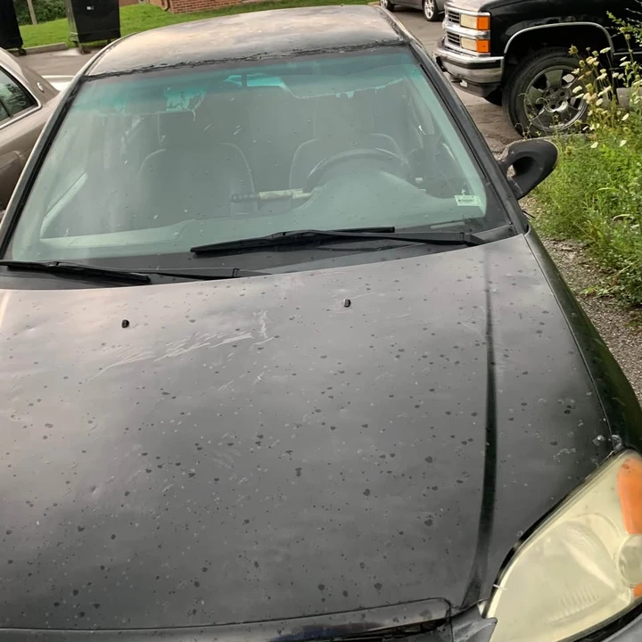2001 Honda Civic 7th Gen - Image 4 of 5
