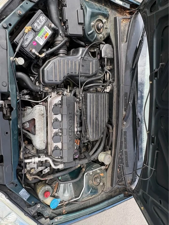 2001 Honda Civic 7th Gen - Image 19 of 19