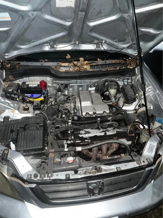 2001 Honda CR-V 1st Gen - Image 8 of 9