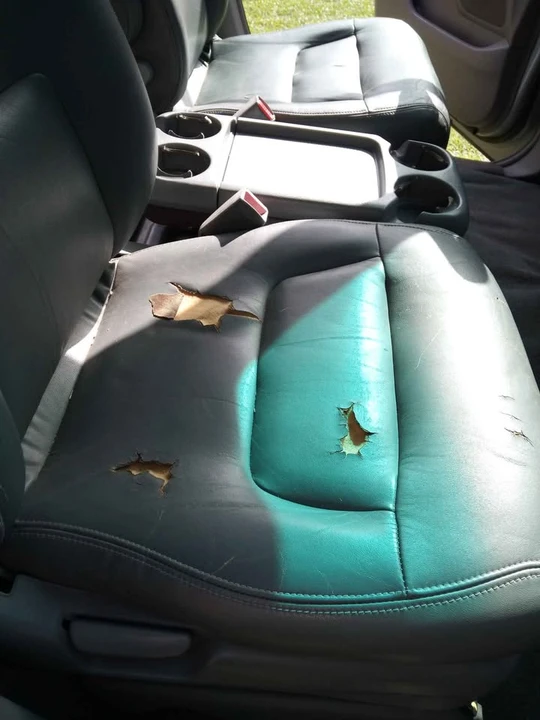 2001 Honda Odyssey - Image 13 of 18