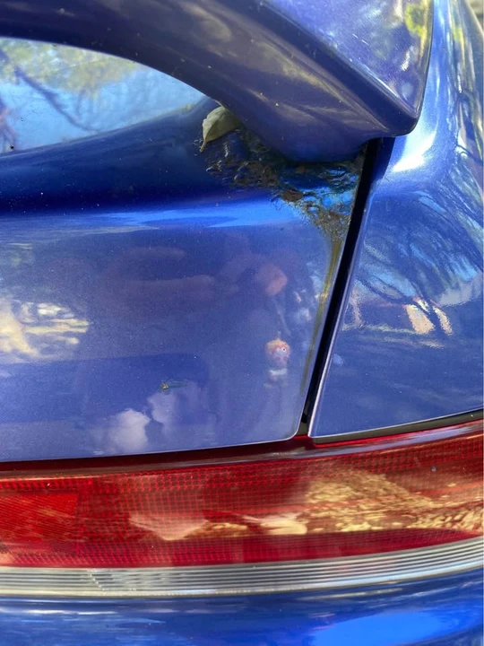 2001 Honda Prelude 5th Gen - Image 3 of 12