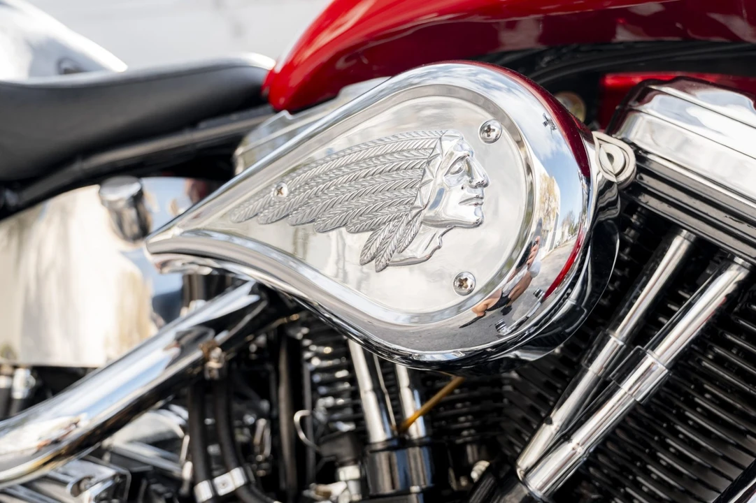 2001 Indian Scout - Image 5 of 6