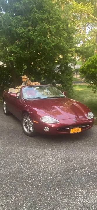 2001 Jaguar X100 XK8 - Image 5 of 10