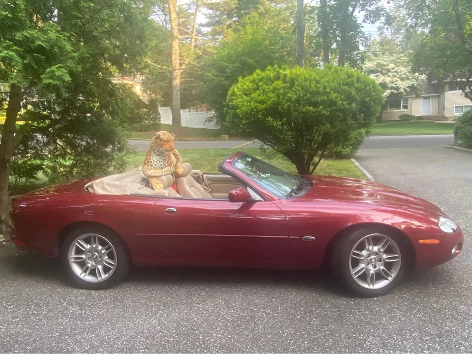 2001 Jaguar X100 XK8 - Image 2 of 10