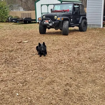 2001 Jeep Wrangler Sport