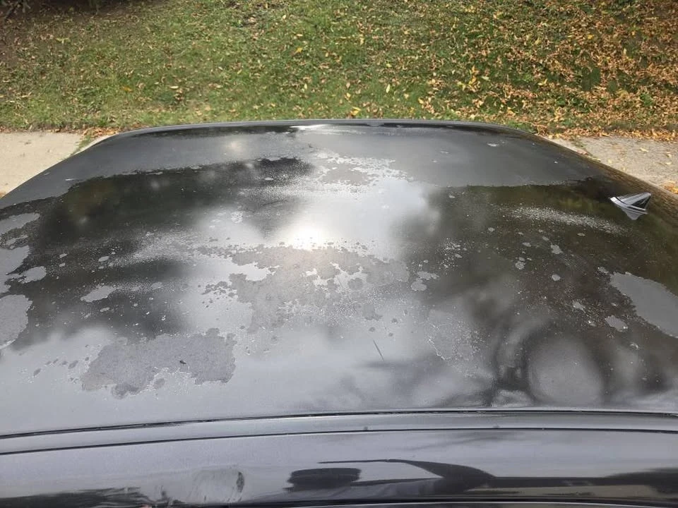 2001 Lexus IS 1st Gen - Image 9 of 11
