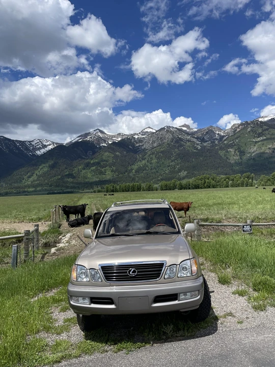 2001 Lexus LX 2nd Gen - Image 29 of 31