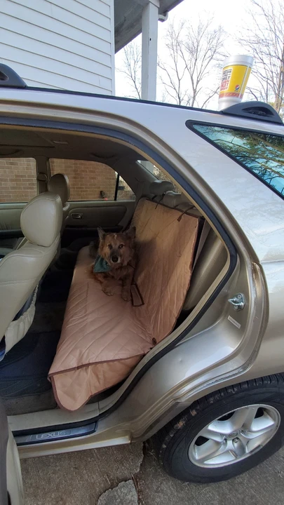 2001 Lexus RX 1st Gen - Image 7 of 16