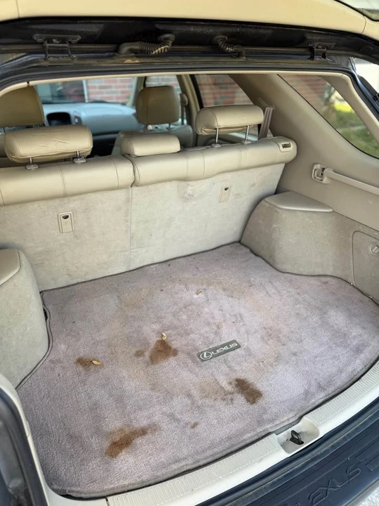 2001 Lexus RX 1st Gen - Image 10 of 13