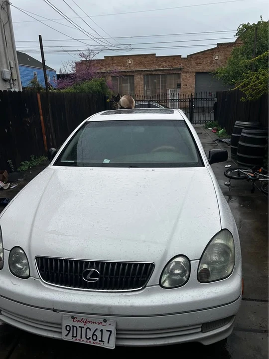 2001 Lexus GS 2nd Gen - Image 5 of 5