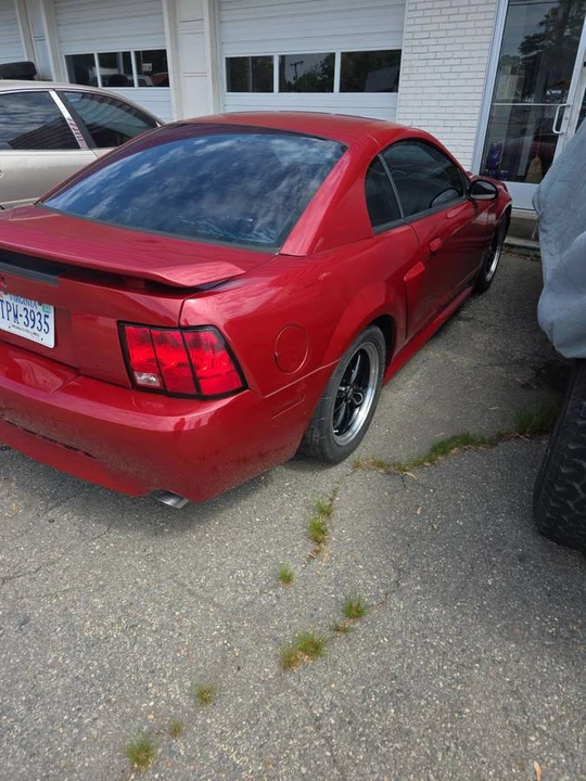 2001 Ford SN95 Mustang - Image 4 of 12