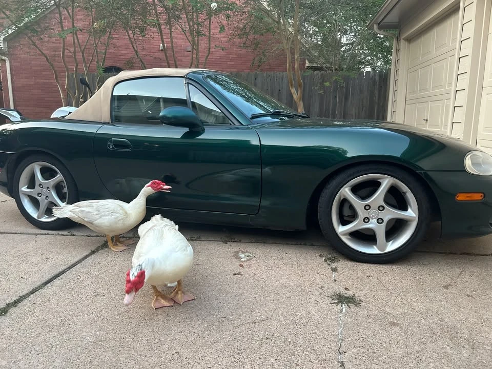 2001 Mazda NB MX-5 Miata - Image 8 of 10