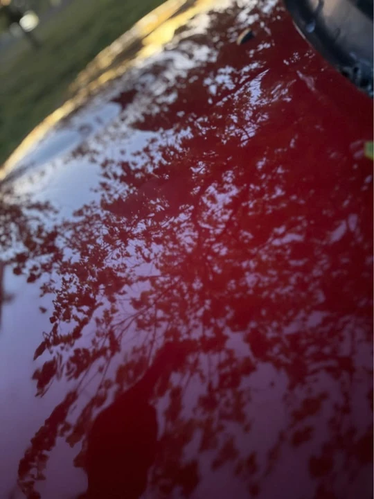 2001 Mazda NB MX-5 Miata - Image 4 of 9