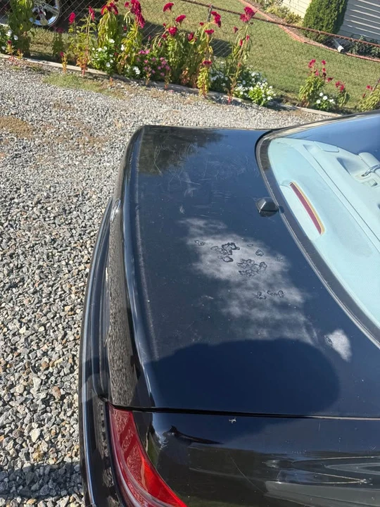 2001 Mercedes-Benz W210 E-Class - Image 5 of 5