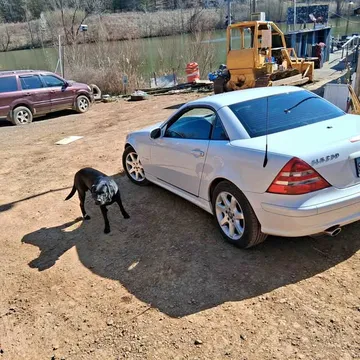 2001 Mercedes-Benz SLK-Class