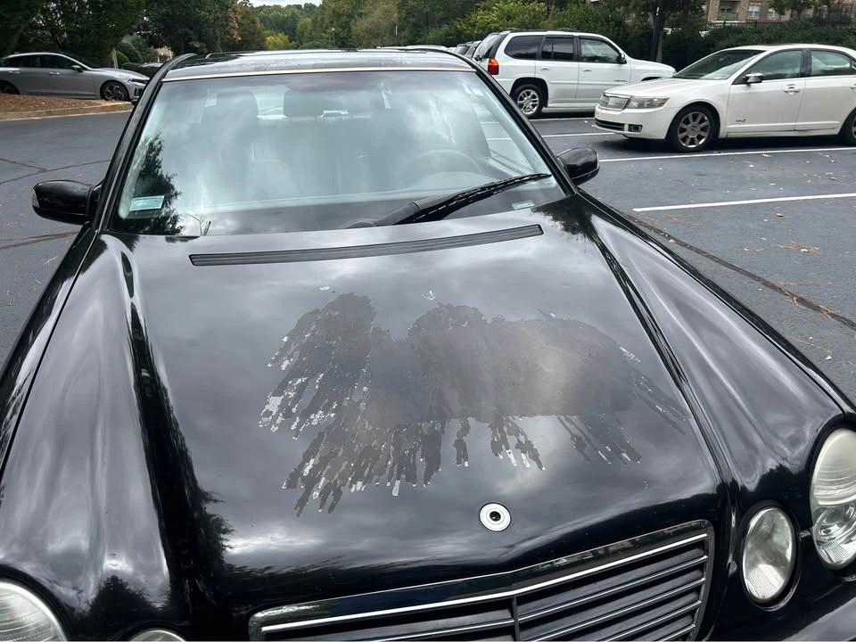 2001 Mercedes-Benz W210 E-Class - Image 12 of 17