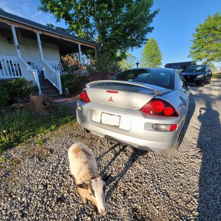 2001 Mitsubishi Eclipse 3rd Gen - Image 4 of 19