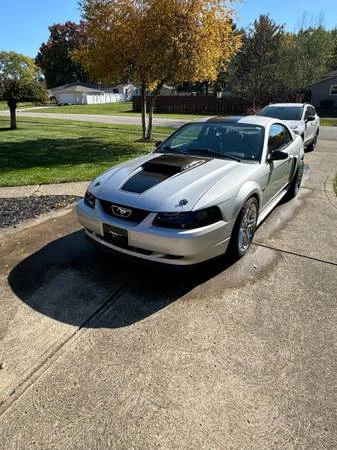 2001 Ford SN95 Mustang - Image 3 of 12