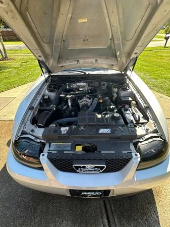 2001 Ford SN95 Mustang - Image 10 of 12