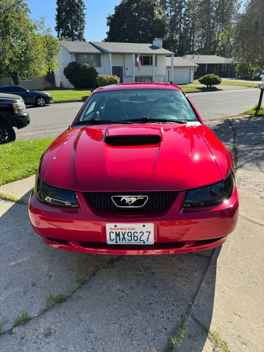 2001 Ford SN95 Mustang - Image 4 of 16