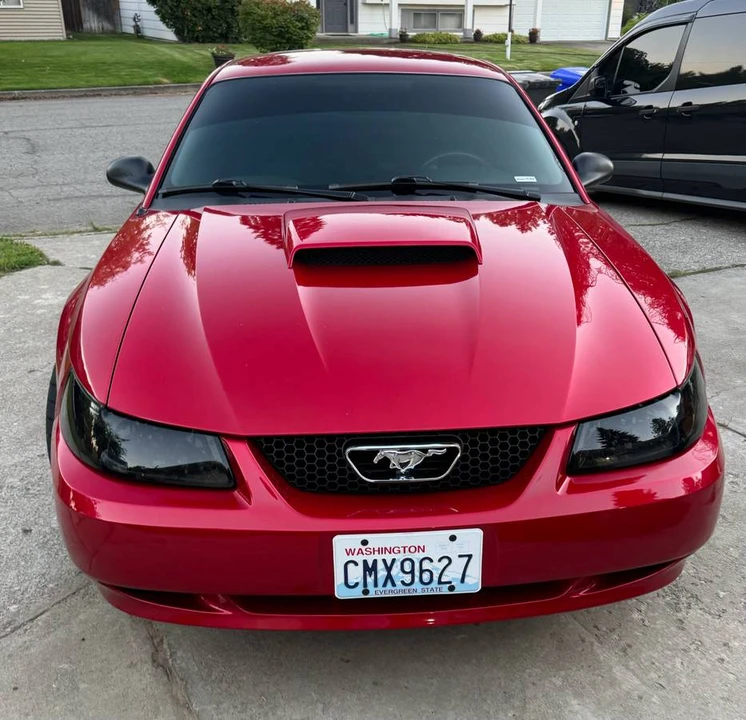 2001 Ford SN95 Mustang - Image 6 of 16