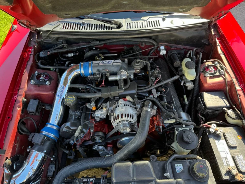2001 Ford SN95 Mustang - Image 2 of 16