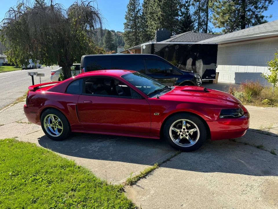 2001 Ford SN95 Mustang - Image 3 of 16