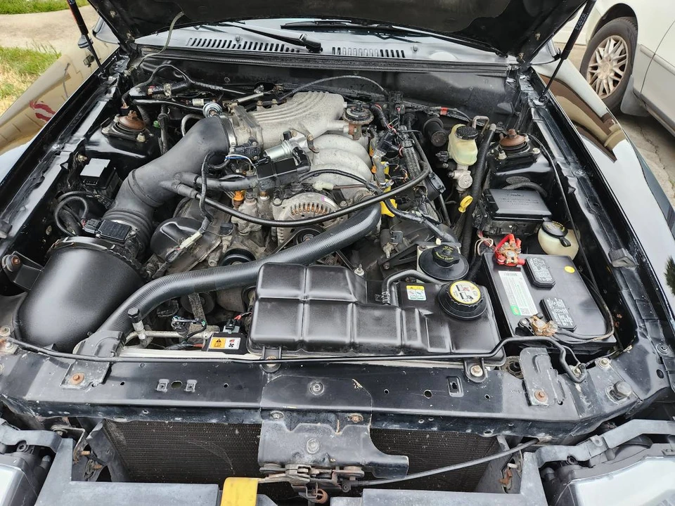 2001 Ford SN95 Mustang - Image 5 of 7