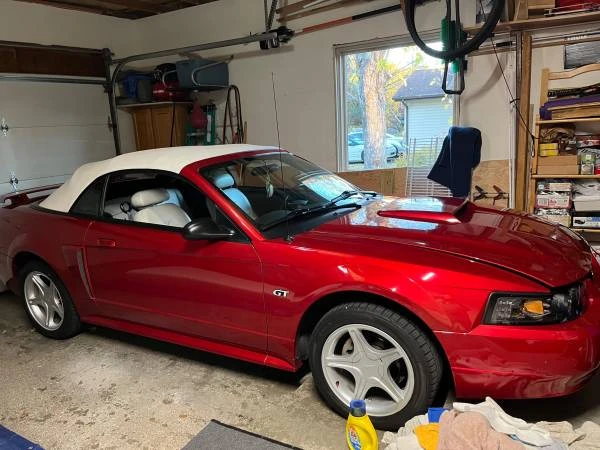 2001 Ford SN95 Mustang - Image 4 of 4