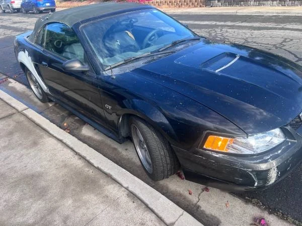 2001 Ford SN95 Mustang - Image 4 of 4
