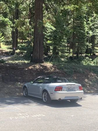 2001 Ford SN95 Mustang - Image 2 of 5