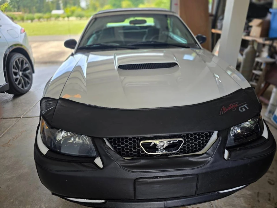2001 Ford SN95 Mustang - Image 3 of 6