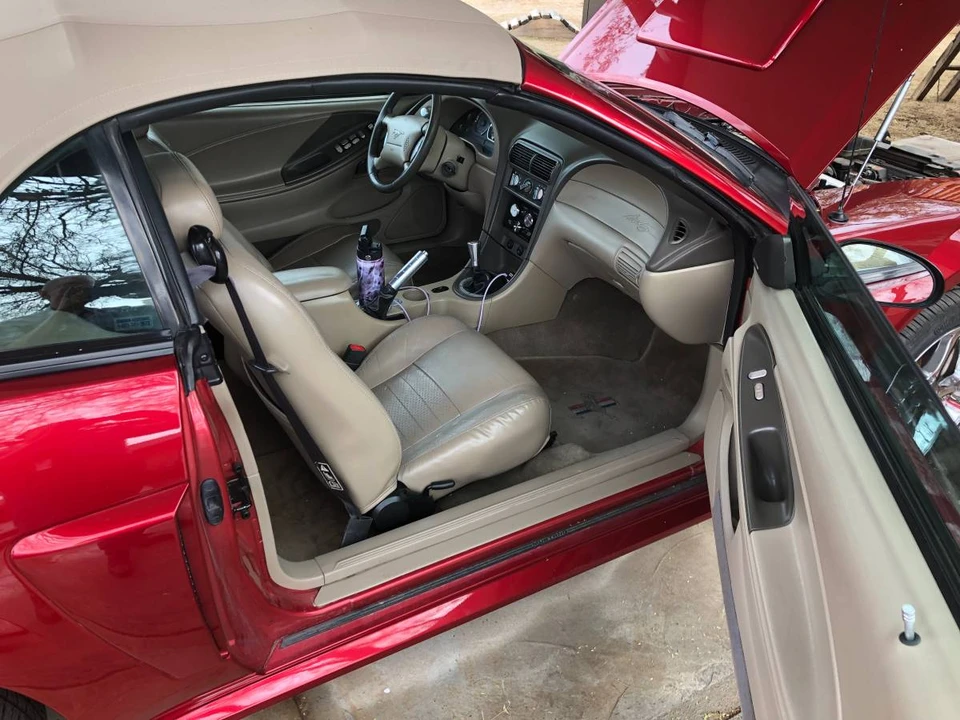 2001 Ford SN95 Mustang - Image 8 of 9