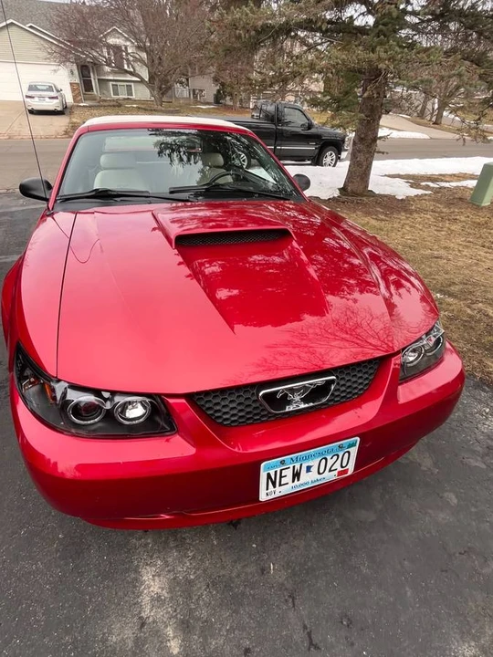 2001 Ford SN95 Mustang - Image 2 of 16