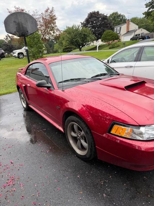 2001 Ford SN95 Mustang - Image 2 of 3