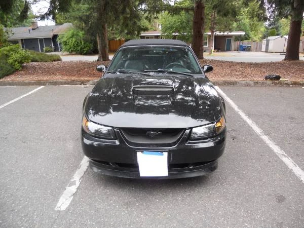 2001 Ford SN95 Mustang - Image 5 of 11