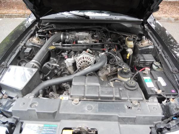 2001 Ford SN95 Mustang - Image 8 of 11